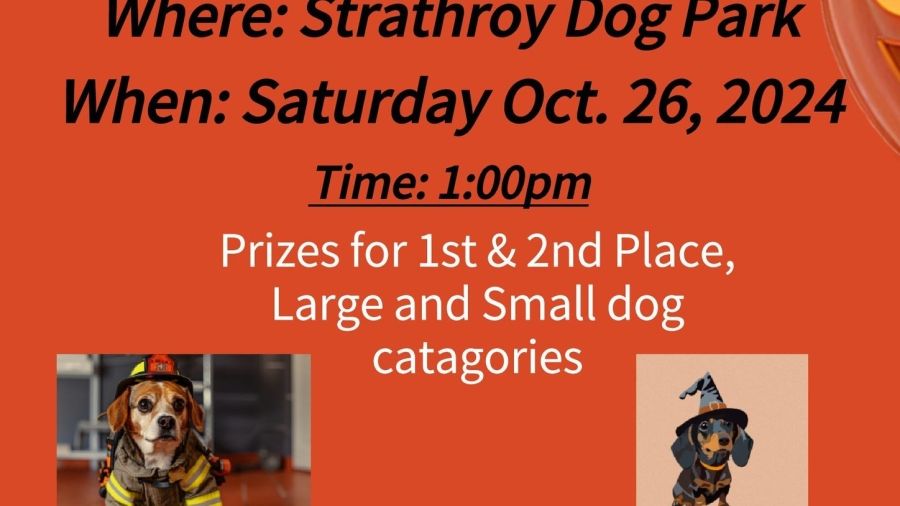 Doggo Halloween Costume Contest Poster