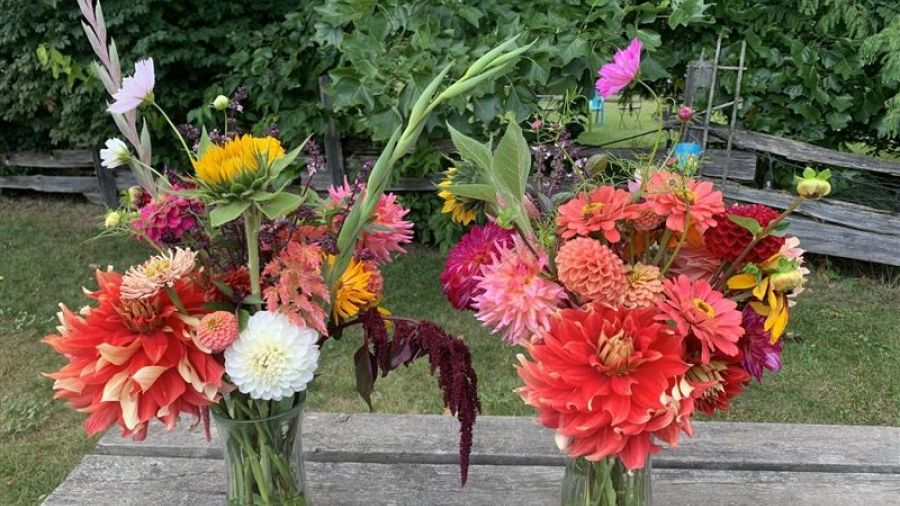 flowers