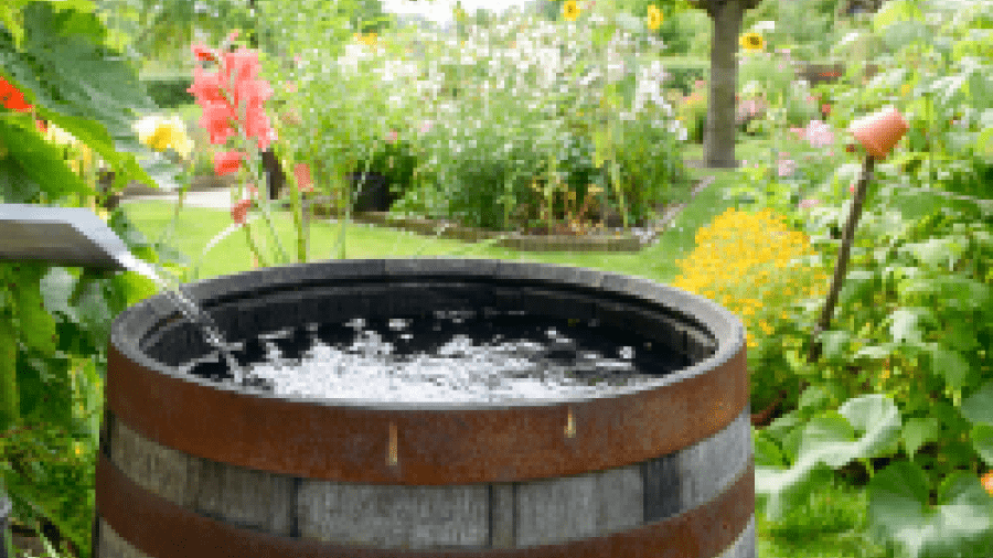 rain barrel