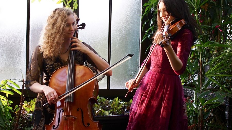 Two women with musical instruments 