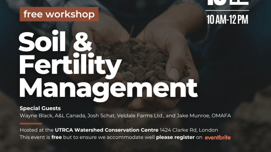 Soil and fertility management 