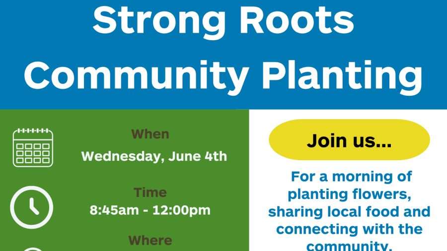 Strong Roots Community Planting Event 