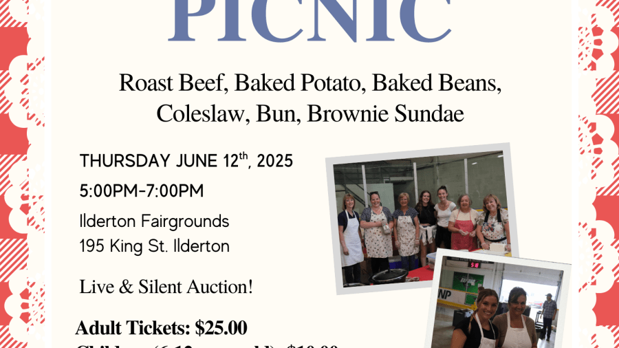 Beef bbq picnic 