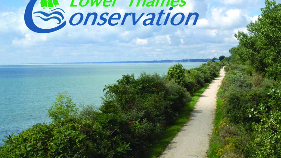 lower thames logo 