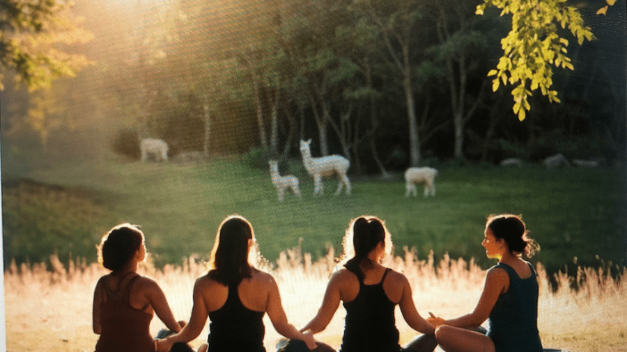 Women meditating in a field 