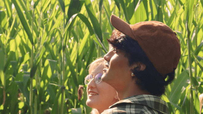 Two people in a corn field
