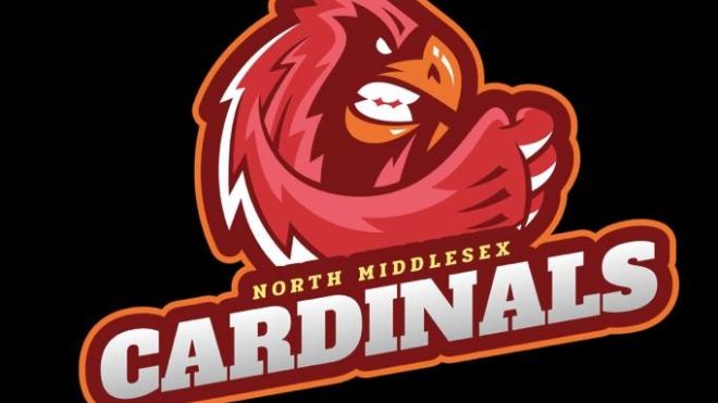 Cardinals Logo