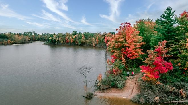 fall foliage