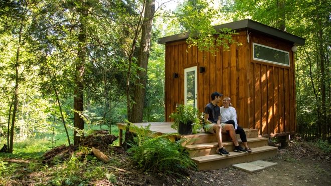 Cabin in the woods 