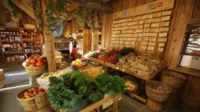 Variety of produce in a farm stand 
