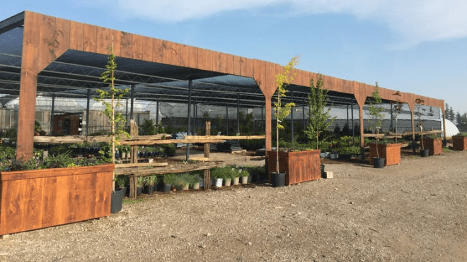 A greenhouse full of small nursery plants on tables, with the sun shining