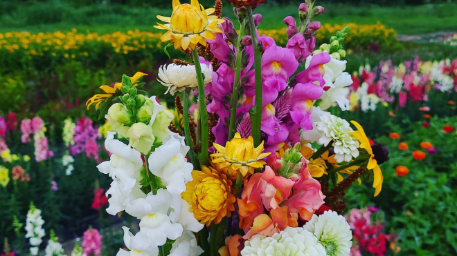bouquet of flowers from creeks edge