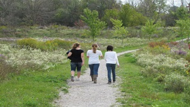 three people walking on a trail 