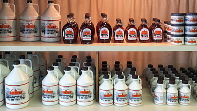 Bottles of maple syrup 
