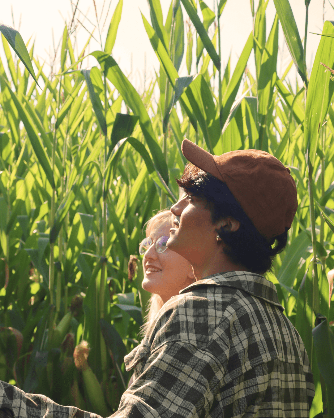 Two people in a corn field