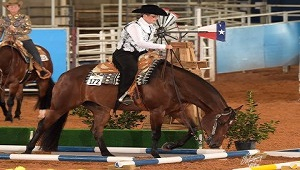 Person on a horse at a competition
