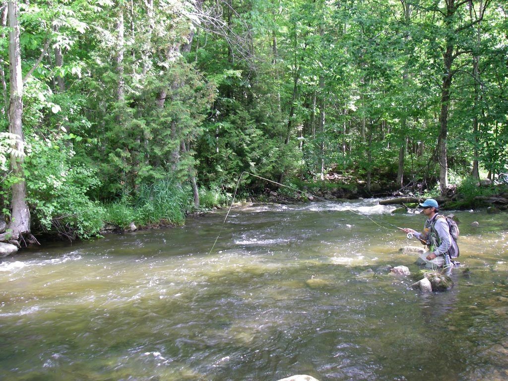 Sydenham RIver A man fishing while standing knee-deep in the clear Sydenham River