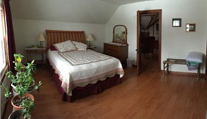 Bedroom with plant