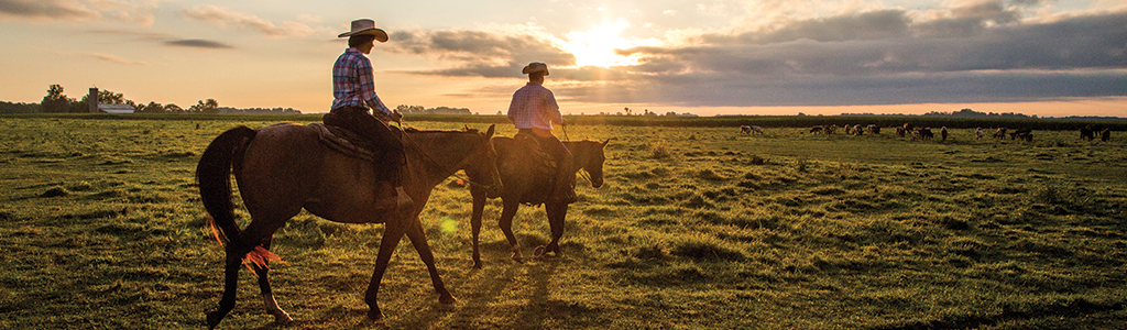 two horseback riders riding in the sunset