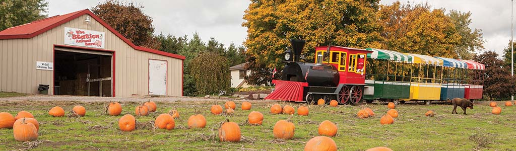 pumpkin patch and train ride