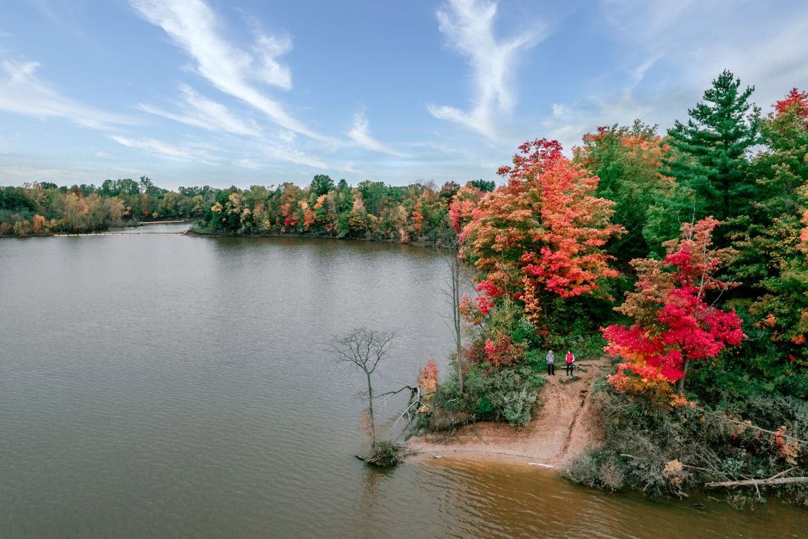 fall foliage