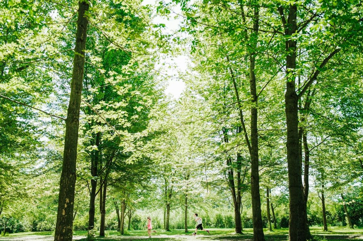 people running on trail