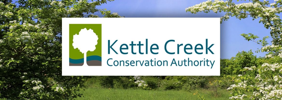 The KCCA logo overlaying a forest