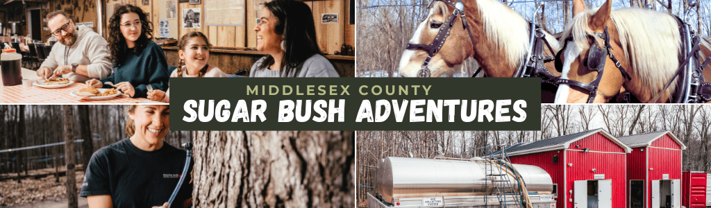 Sugar bush adventures 