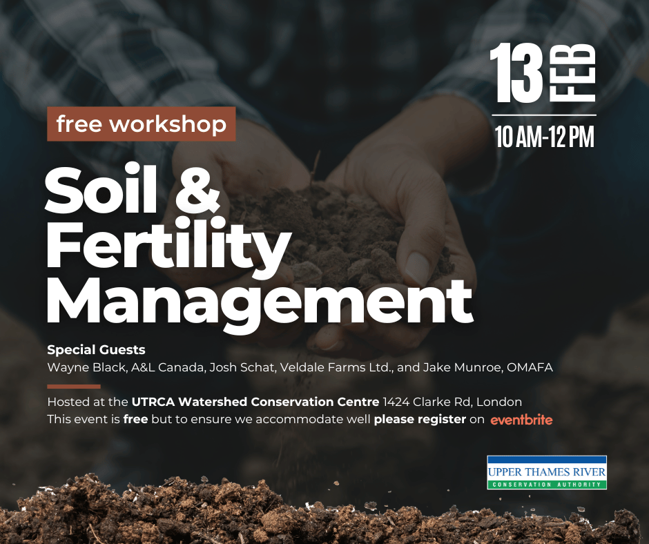 Soil and fertility management