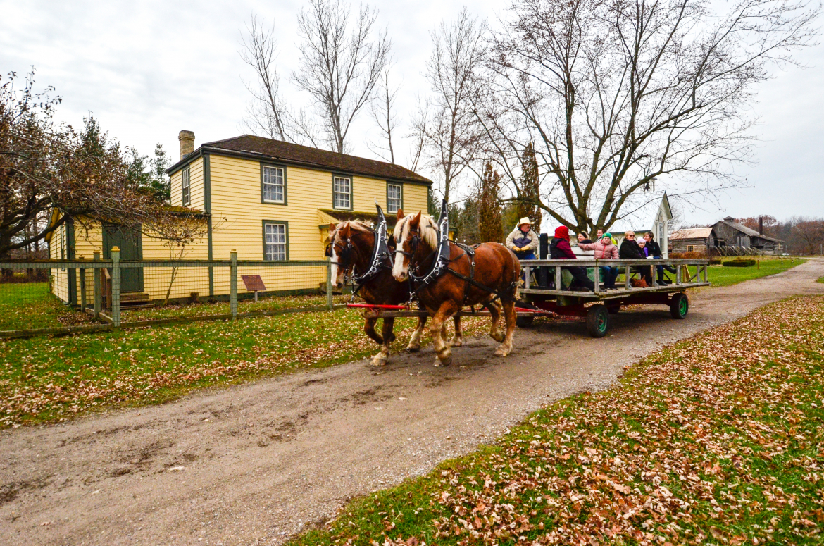 Horse and wagon ride outside the pioneer village 
