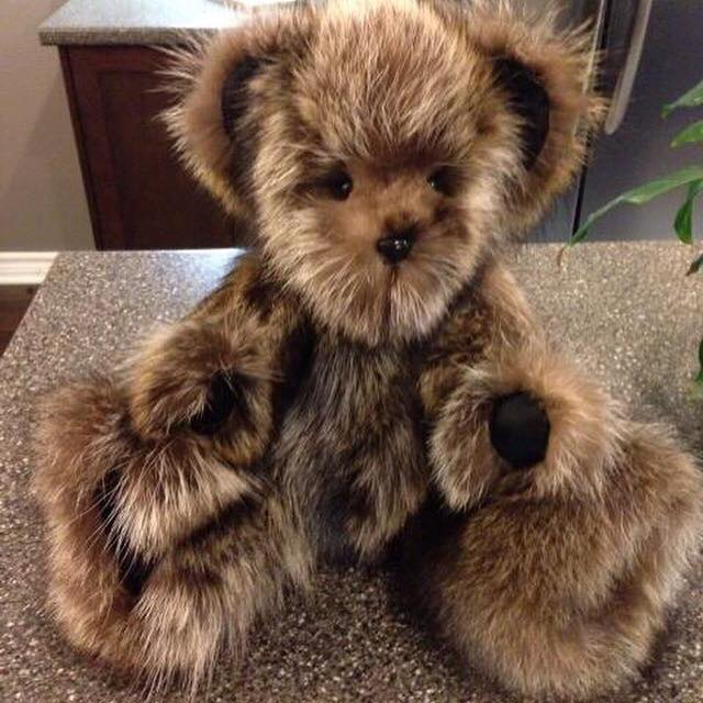 furry brown teddy bear