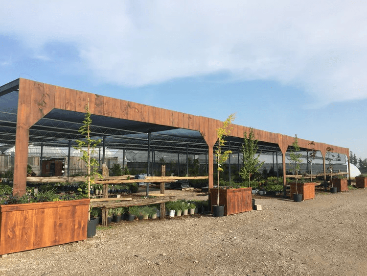 A greenhouse full of small nursery plants on tables, with the sun shining