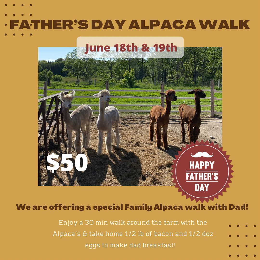 crump family farm alpaca walks