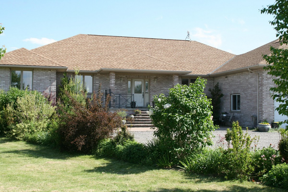 Front lawn of house 