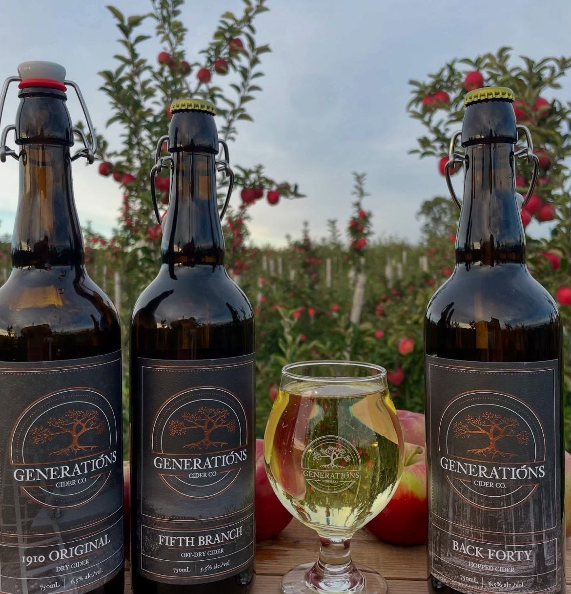 Bottles and a glass of Generation's farm cider, in front of apple trees