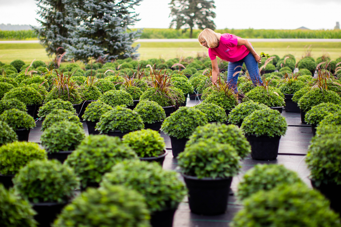 lady and green plants 