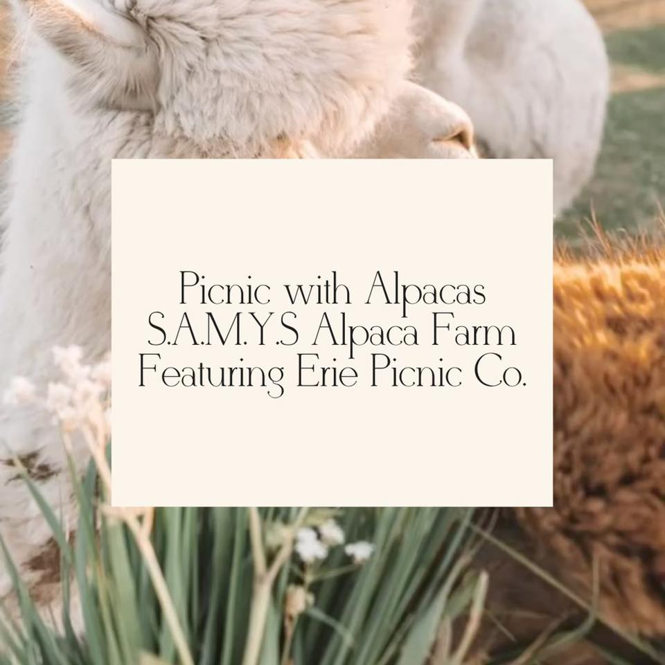 picnic with alpacas poster 