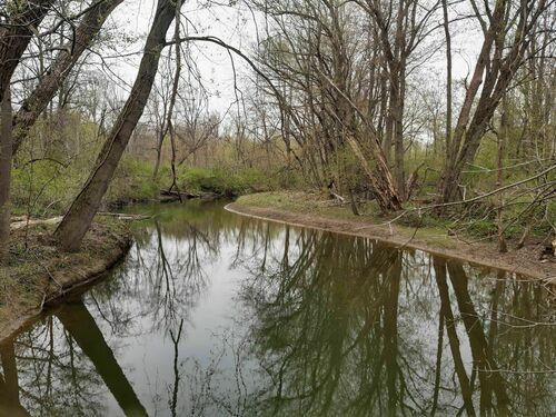 water within trees at strathroy water trail 