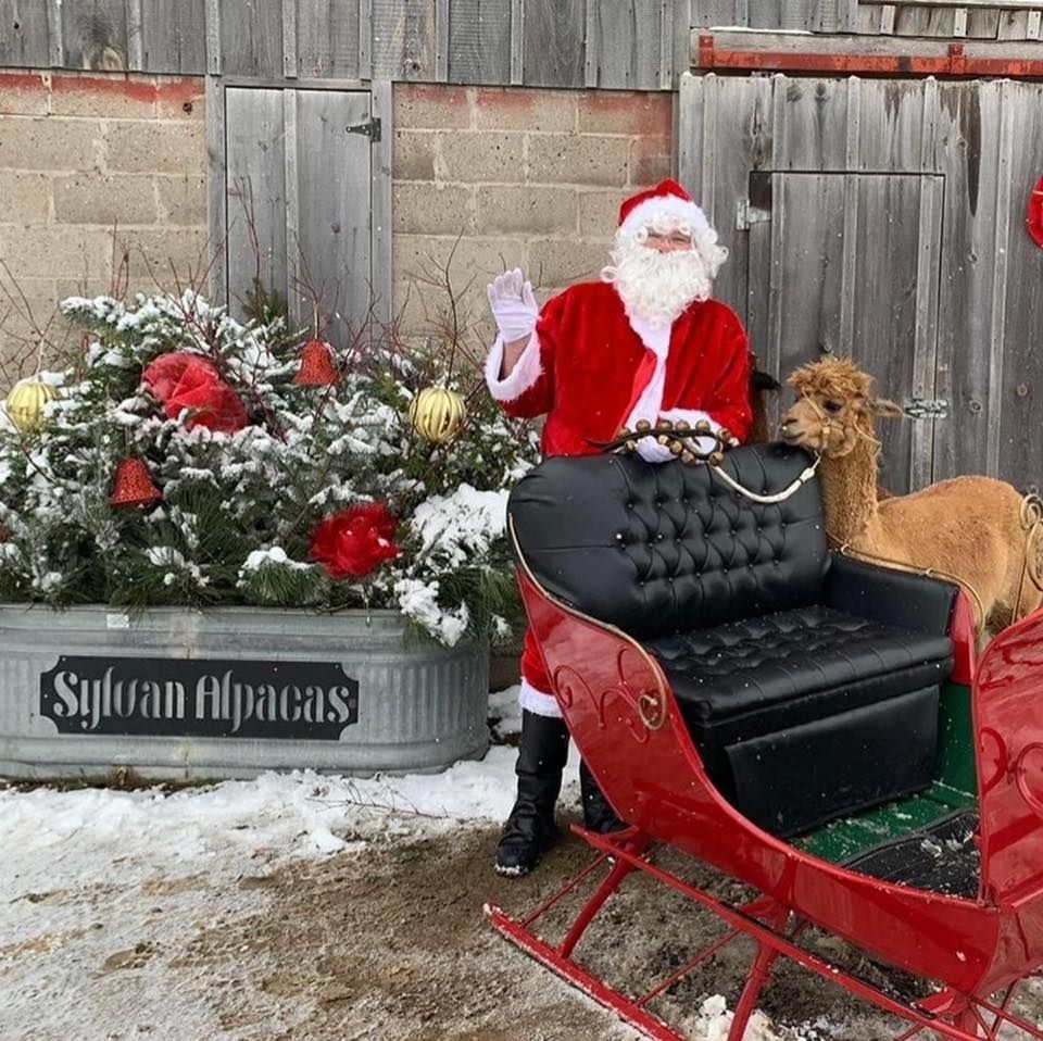 santa and sleigh