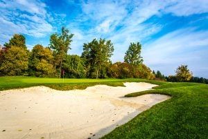 golfing trees blue sky