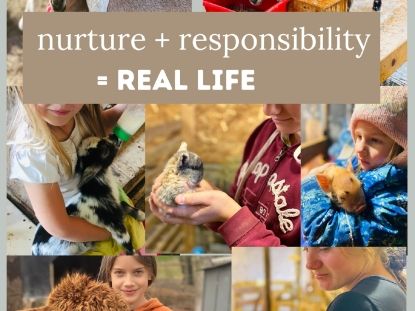 Responsibility 
